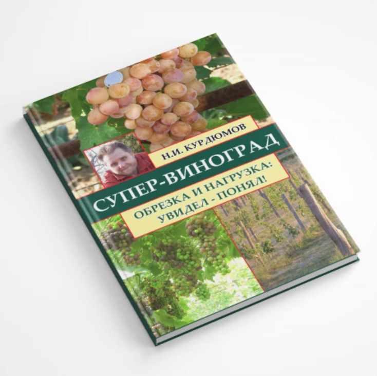 Супер-виноград. Навык 6 Обрезка и нагрузка: увидел - понял (Николай Курдюмов)