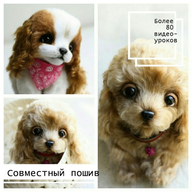 Совместный пошив "Кокер-спаниель" (Инна Борзенкова)