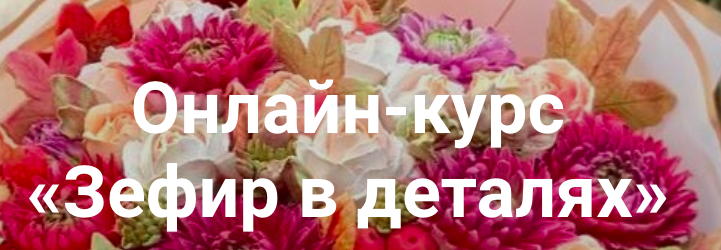 Зефир в деталях. Тариф Базовый (Елена Попова)