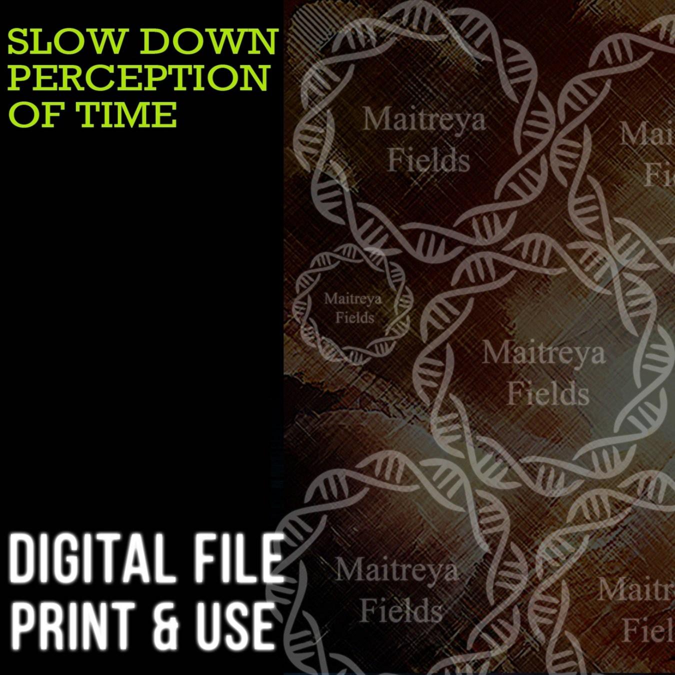 [Maitreya Fields] DM: Медленное восприятие времени. DM: slow perseption of time
