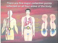 [Высшая школа класической астрологии] Точки сборки (Евгений Волоконцев)