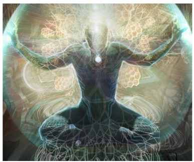 Диагностика, чистка и защита (Елена Филиппова), фото 1 из 1.