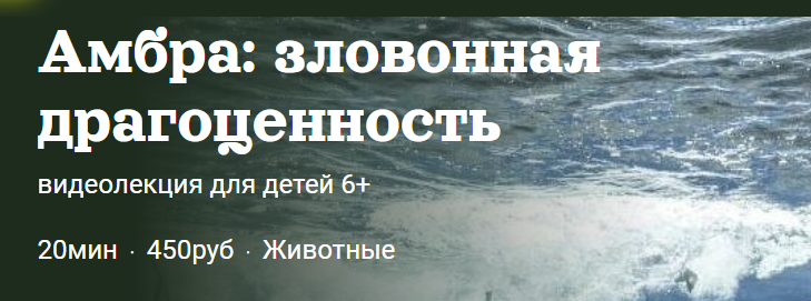 Амбра: зловонная драгоценность (Александр Толмачёв)