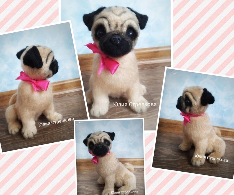 Мопс (Юлия Стрелкова)