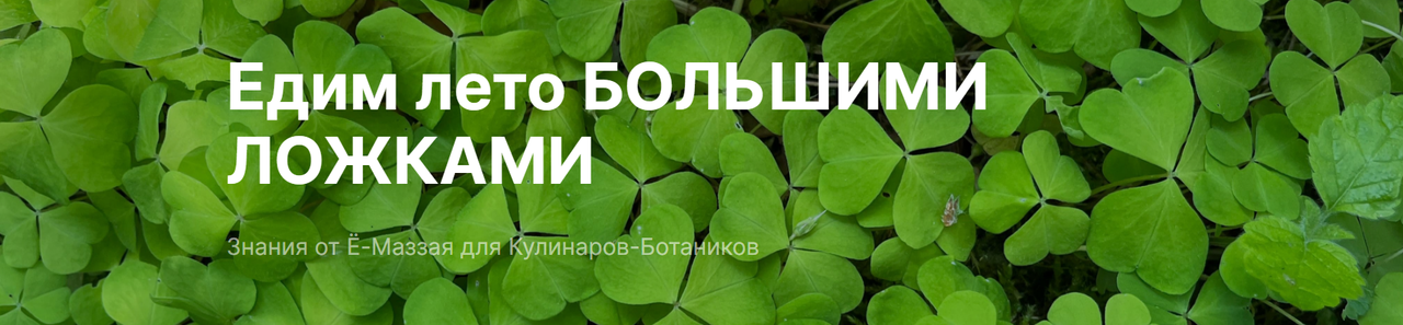 [Ё-Маззай] Едим лето большими ложками (Валерий Коршунов)