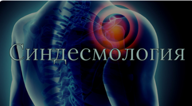 [Anatomy Education] Модуль 2. Синдесмология (Эдгар Кафаров)