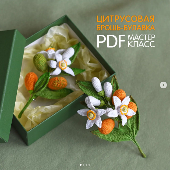 Цитрусовая брошь-булавка (Светлана Пелюшенко)