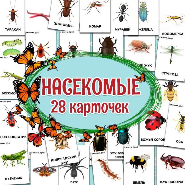 [umeem_igrat] Карточки "Насекомые" (Алсу Хаметова)