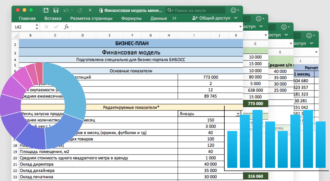 [БиБосс] Финансовая модель репетиторского центра