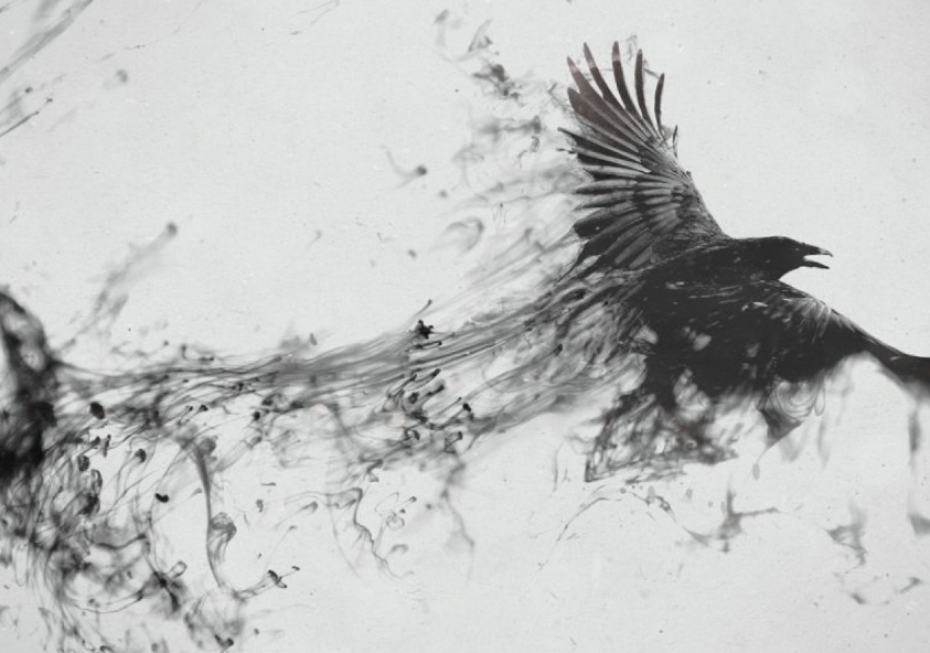 [EduNote] Изнасиловать мать и убить себя: психическая травма в фильме Кима Ки Дука «Пьета» (Мария Кутузов, Светлана Костина)