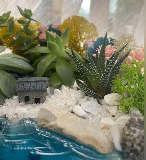 Флорариум из суккулентов (Арина Кошурникова)