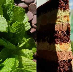 Курс + Конструктор «Мята-Шоколад-Карамель» и другие сочные начинки (Дарья Тимофеева) @buenocake, фото 1 из 1.