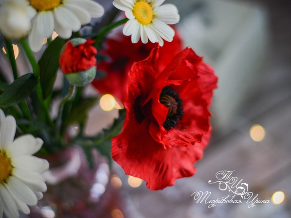 Видео мастер класс "Мак и Ромашка" из зефирного фоамирана (Ирина Тхоривская)