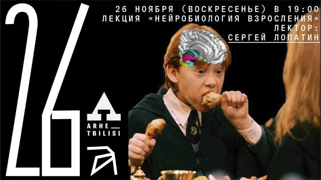 [Архэ] Нейробиология взросления (Сергей Лопатин)