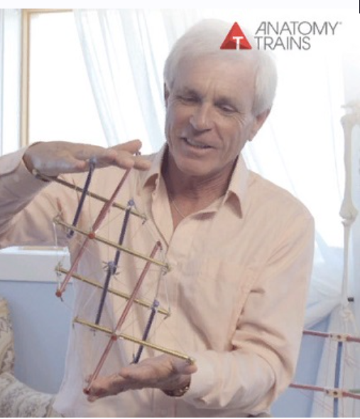 Раскрываем свой позвоночник. Часть 6 из 10 (Томас Маерс)