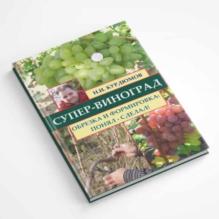 Супер-виноград. Навык 7 Обрезка и формировка: понял - сделал (Николай Курдюмов)