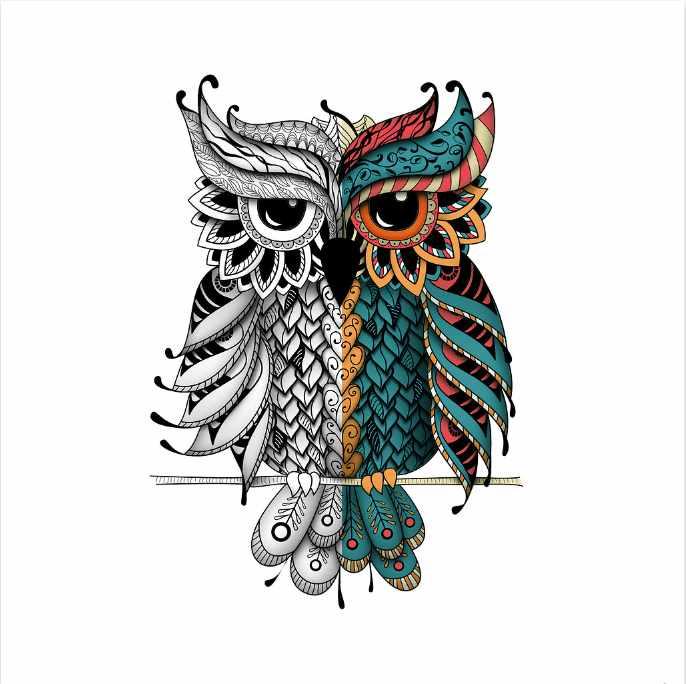 [Envato Market] Сова в стиле дудлинг. Раскраска для взрослых, фото 1 из 1.