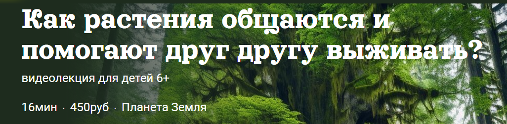 [Детский лекторий] Как растения общаются и помогают друг другу выживать? (Александр Толмачёв)