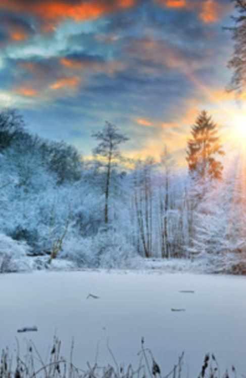 [Таким Путем] Лекция-семинар о сказках и дне зимнего солнцестояния (Константин Михайлов)