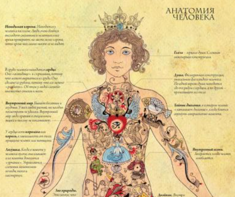 Оккультная анатомия. 4 часть. Позвоночник. NEW! (Велимира)