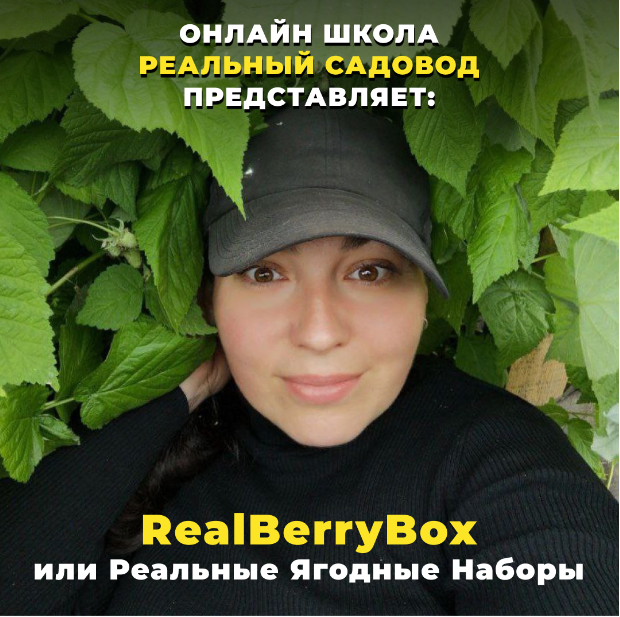 RealBerryBox. Плодись и размножайся (Татьяна Холомьева)