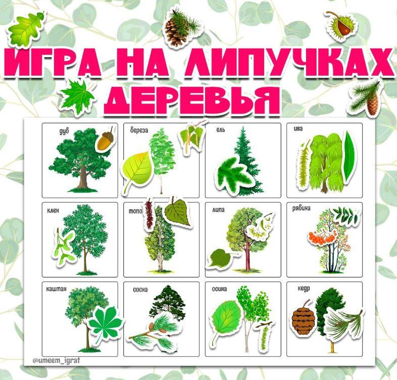 [umeem_igrat] Игра на липучках. Деревья (Алсу Хаметова)