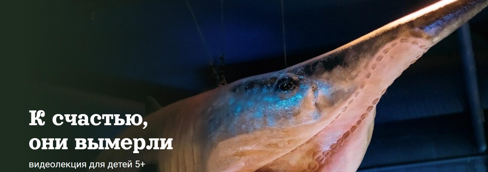 [Детский лекторий] К счастью, они вымерли (Александр Толмачев)