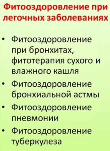 Фитооздоровление при лёгочных заболеваниях (Елена Корсун)