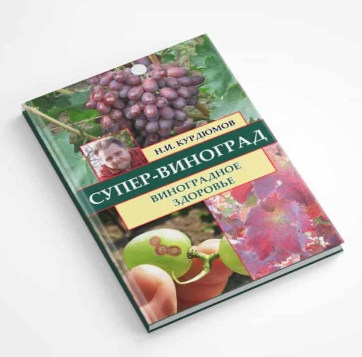 Супер-виноград. Навык 8 Виноградное здоровье (Николай Курдюмов)