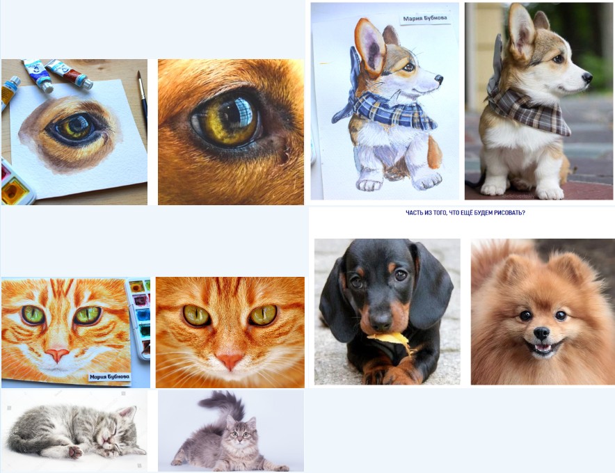 [Sketch Lab] Анималистика (Мария Бубнова)