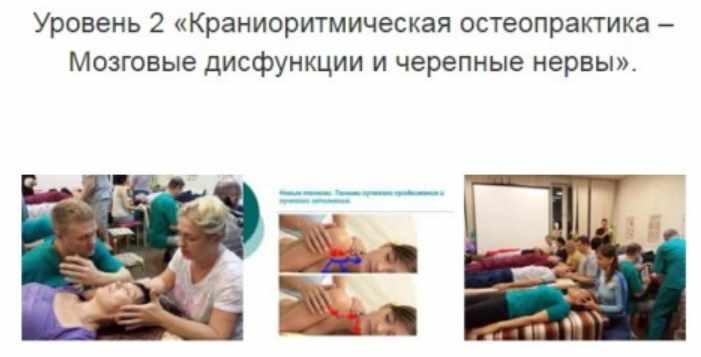 Уровень 2.Краниоритмическая остеопрактика – Мозговые дисфункции и черепные нервы (Александр Смирнов)