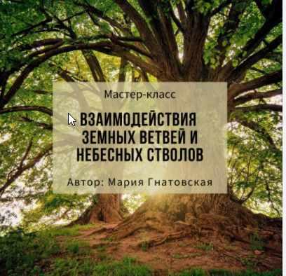 Взаимодествия земных ветвей и  небесных стволов  (Мария Гнатовская), фото 1 из 1.