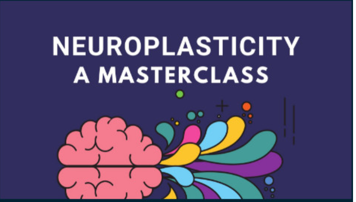 [Skillshare] Нейропластичность – Система быстрого перепрограммирования мозга. Часть 5 из 7 (Ной Мерриби)
