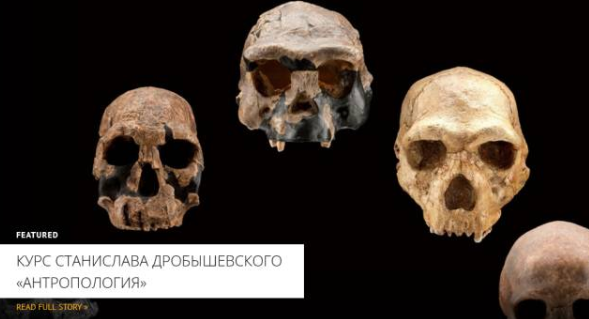 [Архэ] Приматы: в прошлом и настоящем 2024 (Станислав Дробышевский)