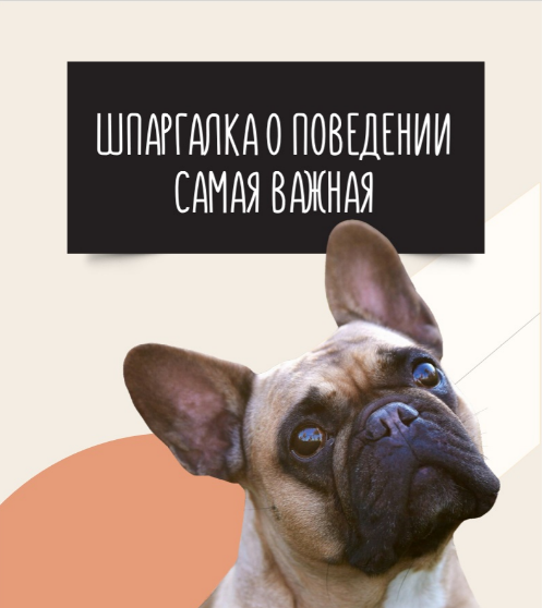 Шпаргалка о поведении (Ольга Сысоева)