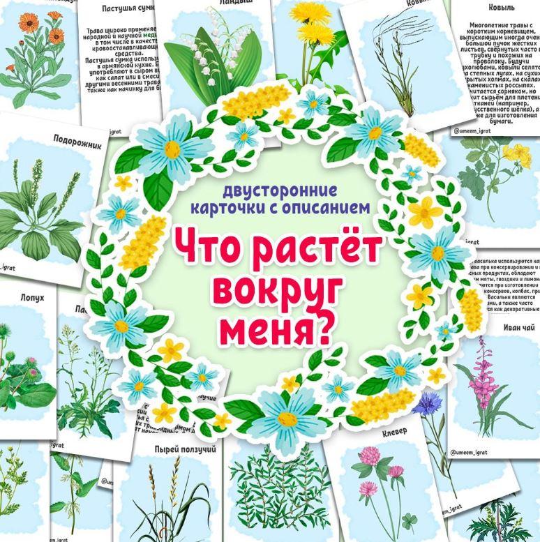 [umeem_igrat] Карточки с описанием. Что растёт вокруг меня? (Алсу Хаметова)