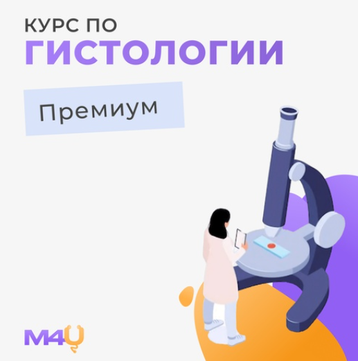 [Medforyou - школа медицины] Курс по гистологии