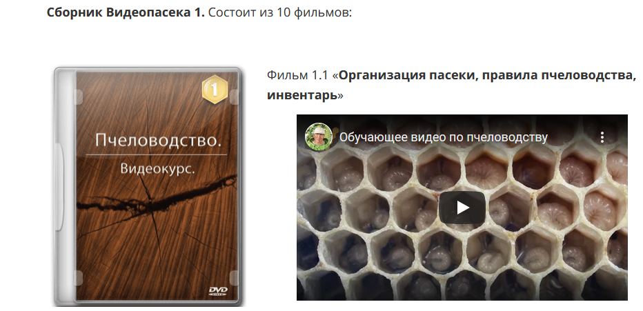 Пчеловодство: Сборник Видеопасека 1 (Николай Осташов), фото 1 из 1.