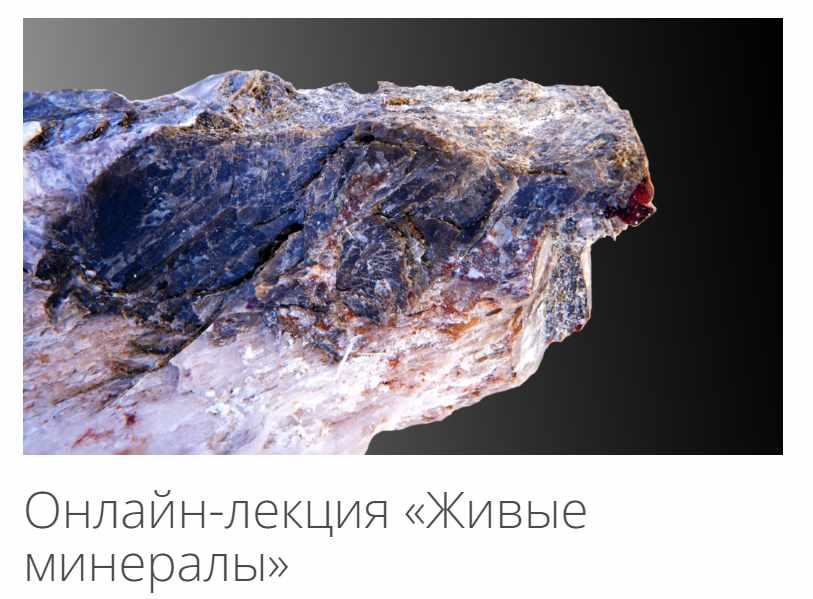 [Архэ] Живые минералы (Тарас Паникоровский)