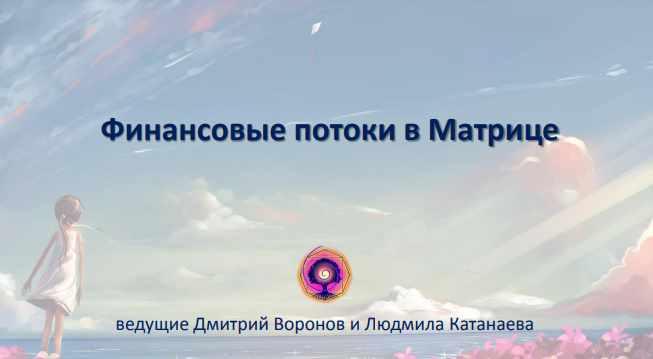 Финансовые потоки в матрице (Дмитрий Воронов)