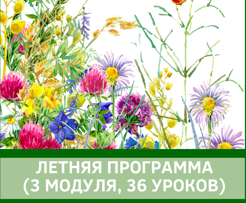 [English4mybaby] Летняя программа 2020 (Надежда Корн)