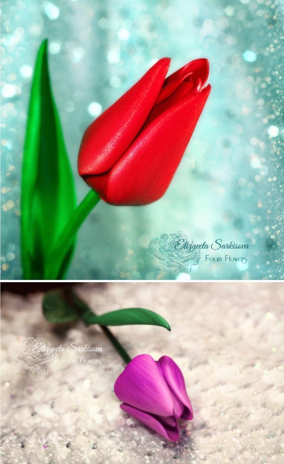 Горный тюльпан (Елизавета Саркисова)