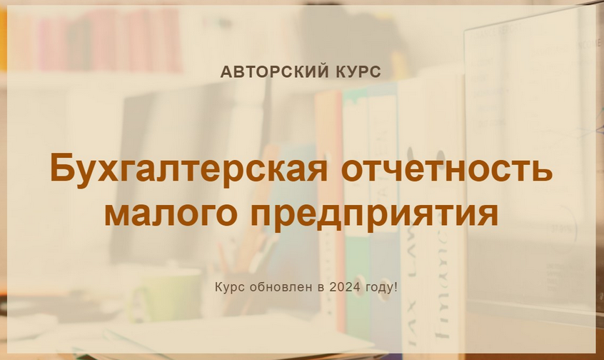 Бухгалтерская отчетность малого предприятия. 2024 (Ольга Шулова)