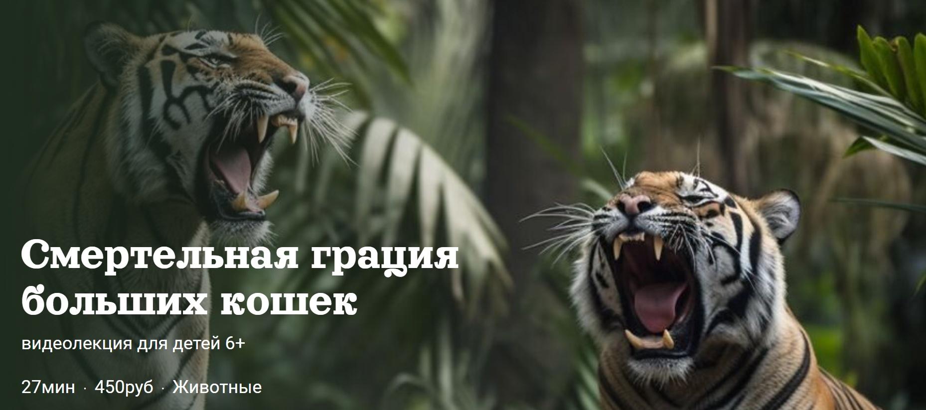 [Детский лекторий] Смертельная грация больших кошек (Александр Толмачев)