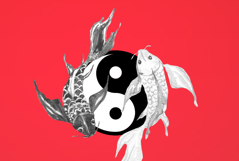 Динамический код фэн шуй | Dynamic Feng Shui Code (Джесси Ли)