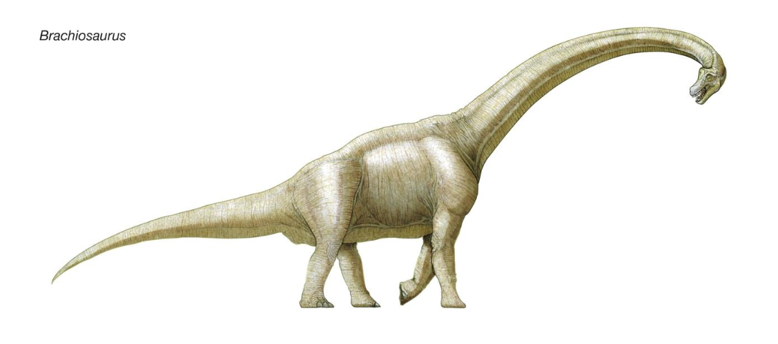 [Архэ] Палеонтология – 2022. Нетрадиционные ценности (Андрей Журавлев)