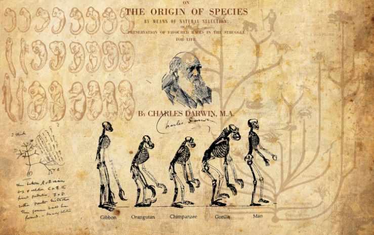 [Архэ] Дарвиновский эволюционный механизм (Александр Марков)