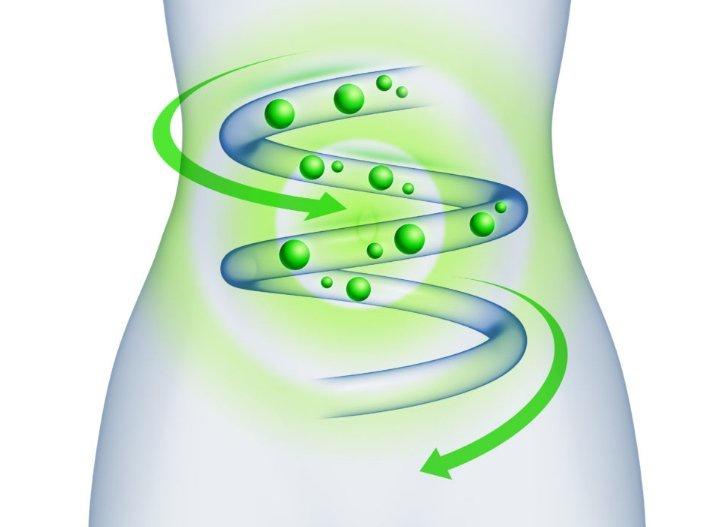 Методика очищения организма на дому (Светлана Саенко)