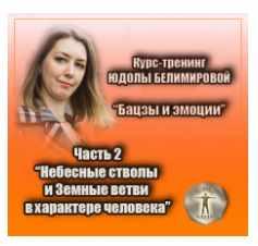 Курс-тренинг "Бацзы и эмоции". 2 часть. Небесные стволы и Земные ветви (Юдола Белимирова), фото 1 из 1.