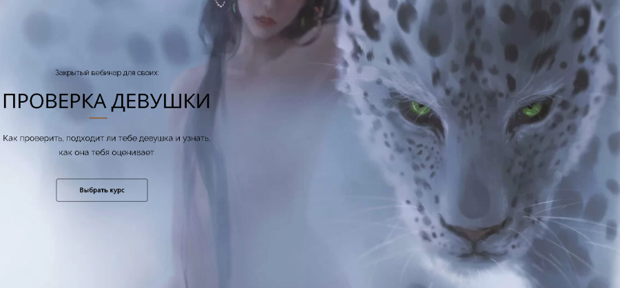 Проверка девушки. Тариф Vip (Владимир Голиян)